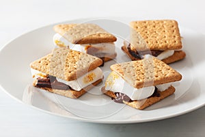 Homemade marshmallow s`mores with chocolate on crackers