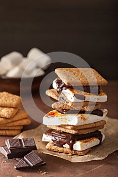 Homemade marshmallow s`mores with chocolate on crackers