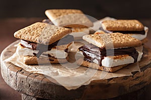 Homemade marshmallow s`mores with chocolate on crackers