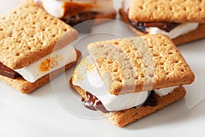 Homemade marshmallow s`mores with chocolate on crackers