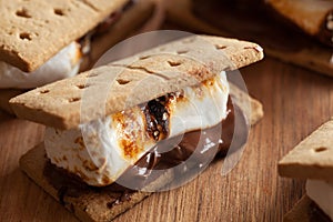 Homemade marshmallow s`mores with chocolate on crackers