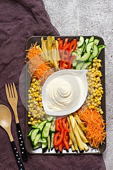 Homemade mayonnaise sauce. Dish with set of colorful vegetables. Russian salad goat in the garden. Top view