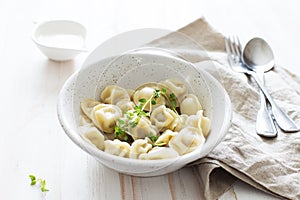 Homemade Meat Dumplings in white plate