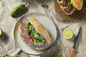 Homemade Mexican Beef Torta Sandwich photo