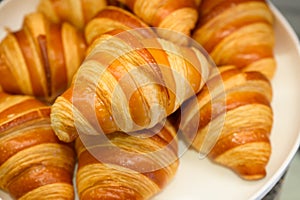 Homemade mini croissants on white plate in buffet line. Fresh Baked Buttery Croissants