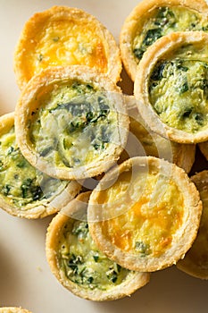 Homemade Mini Egg Quiches