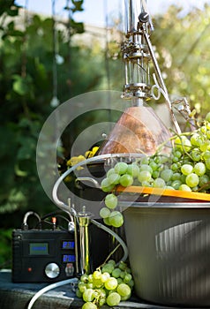 Homemade moonshine winemaking; white grape and moonshine still for home brandy production