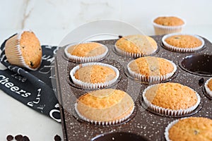 Homemade muffins in bakeware