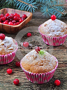 Homemade muffins with fresh and dried cranberries