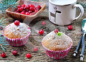 Homemade muffins with fresh and dried cranberries
