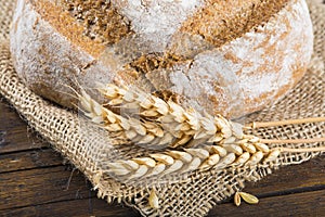 Homemade multigrain sourdough bread photo