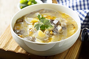 Homemade mushroom soup with fresh parsley