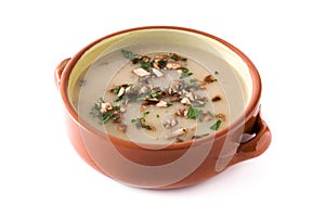 Homemade mushroom soup isolated