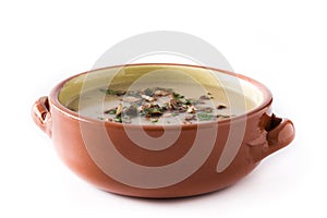 Homemade mushroom soup isolated
