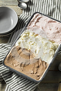 Homemade Neopolitan Ice Cream