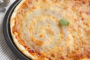 Homemade Neopolitan Pizza with Cheese and Basil, side view. Close-up