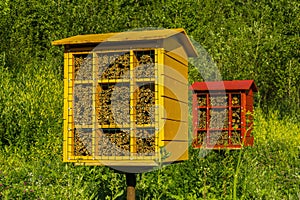 Homemade nest blocks for mason bees for pollination of plants