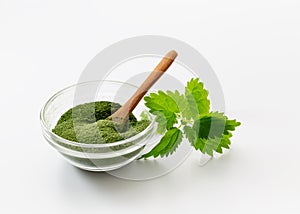 Homemade nettle leaf powder