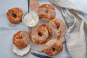 Homemade new york bagels on rustic background