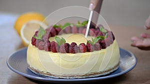 Homemade New York cheesecake on a cake stand decorated with fresh berries