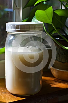 Homemade Non-dairy Milk