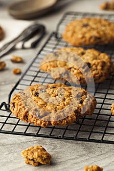 Homemade Oatmeal Raisin Cookies