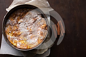 Homemade Organic Apple Pie Dessert in baking form