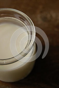 Homemade organic dairy product