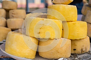 Homemade organic farm cheese at the street food fair.