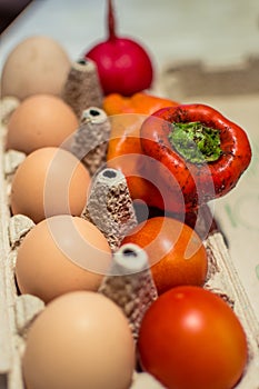 Homemade organic food ready for cooking. Eggs and vegetables.