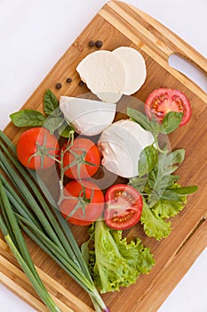 Homemade Organic Mozzarella Cheese with Tomato and Basil and onions