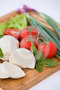 Homemade Organic Mozzarella Cheese with Tomato and Basil and onions