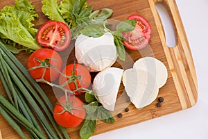 Homemade Organic Mozzarella Cheese with Tomato and Basil and onions