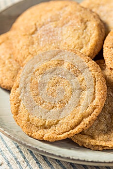 Homemade Organic Snickerdoodle Cookies