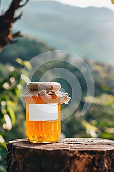 Homemade Peach Jam in Glass Jar Illuminated by Sunlight on Rustic Wooden Table Outdoors