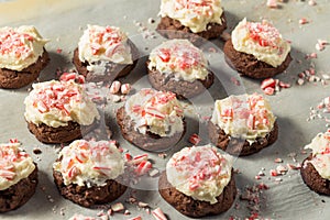 Homemade Peppermint Candycane Chocolate Cookies