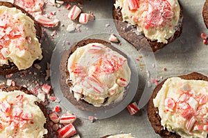 Homemade Peppermint Candycane Chocolate Cookies