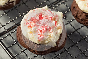 Homemade Peppermint Candycane Chocolate Cookies