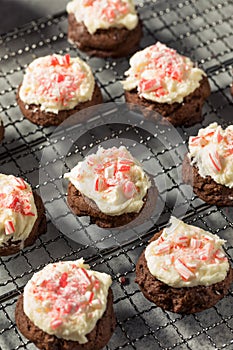 Homemade Peppermint Candycane Chocolate Cookies