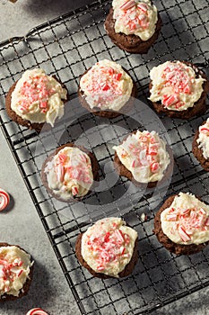 Homemade Peppermint Candycane Chocolate Cookies