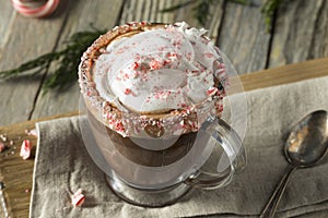 Homemade Peppermint Hot Chocolate