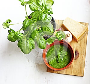 Homemade pesto Genovese with ingredients