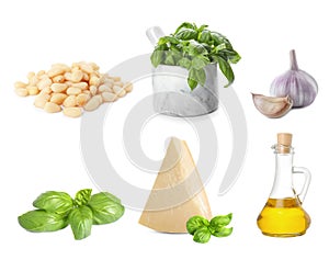 Homemade pesto. Set of ingredients (pine nuts, garlic, parmesan , olive oil and basil) for sauce isolated on white