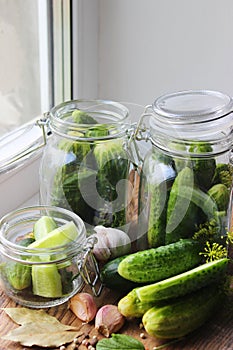 Homemade pickes with dill and garlic in a jar. Canned cucumbers, pickled cucumbers
