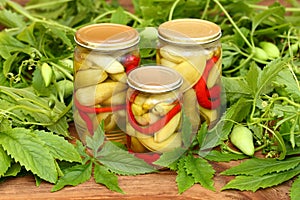 Homemade pickled achocha, Cyclanthera pedata, with chilli peppers