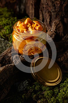 Homemade pickled honey mushrooms in a glass jar