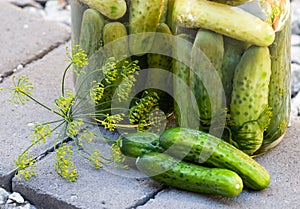 Homemade pickles