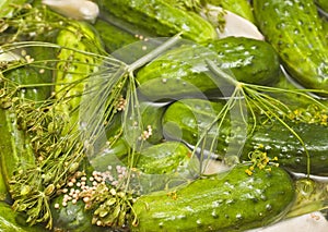 Homemade pickles in brine photo