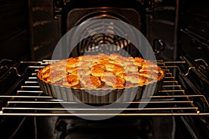 Homemade pie with cottage cooked in the oven