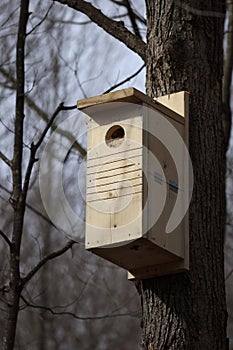 Homemade Pileated Woodpecker nesting box
